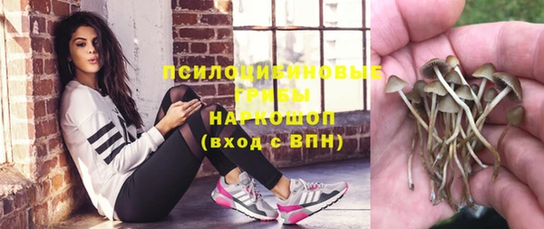 спиды Алзамай